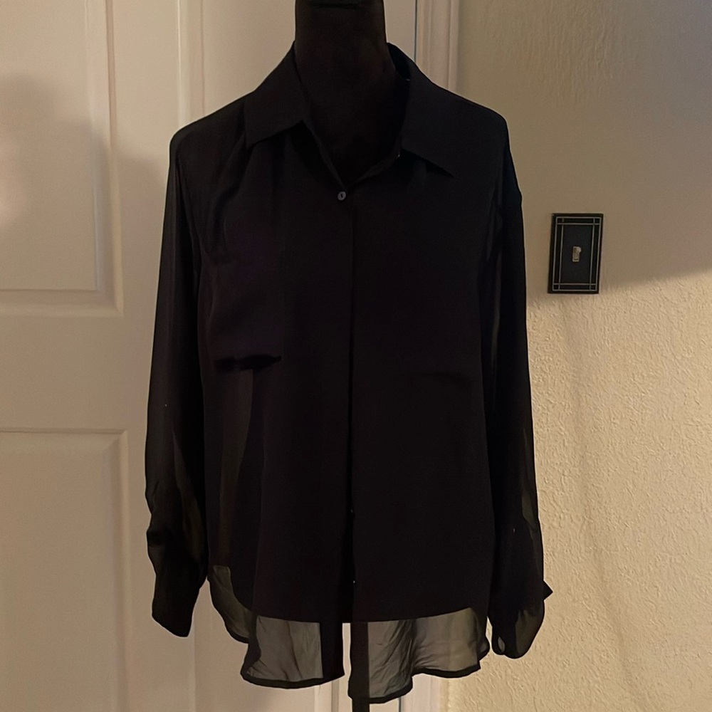 Sheer button-down blouse